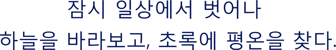잠시 일상에서 벗어나 하늘을 바라보고, 초록에 평온을 찾다.