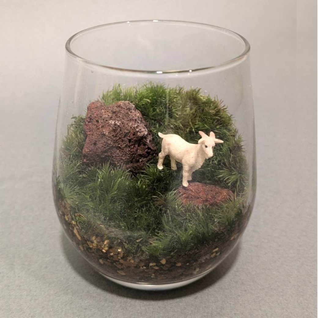 MOSS OASIS