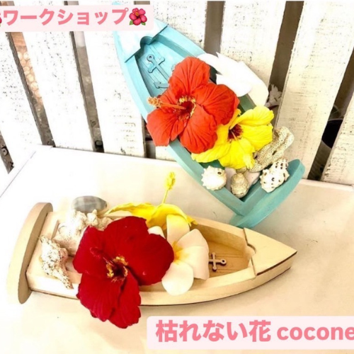 27_cocone7181