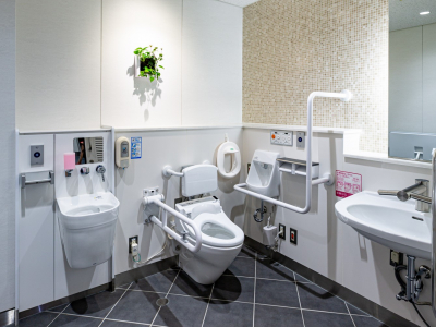 Multifunction Toilets