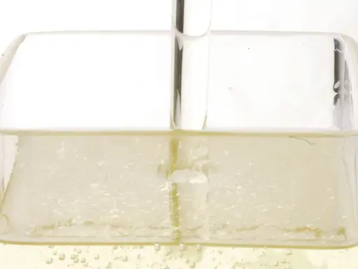 柔らかいヒレかつと大海老かつの盛り合わせ。