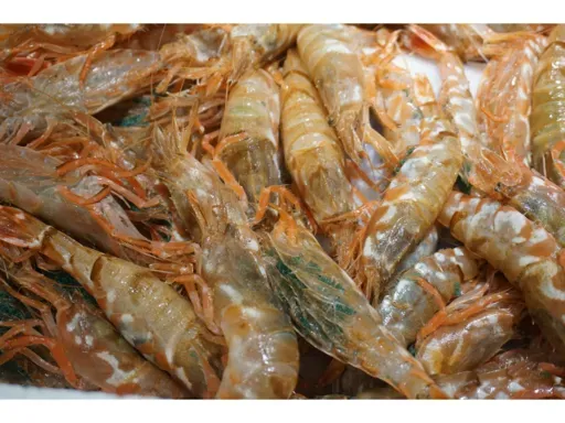 選び抜いた食材