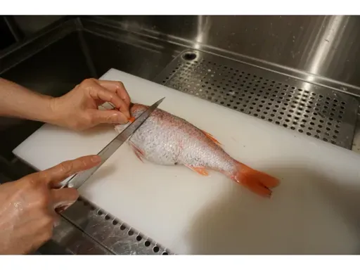 選び抜いた食材