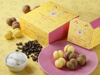 シーキューブ ジャガーティラミスクッキー【5月末までの期間限定】