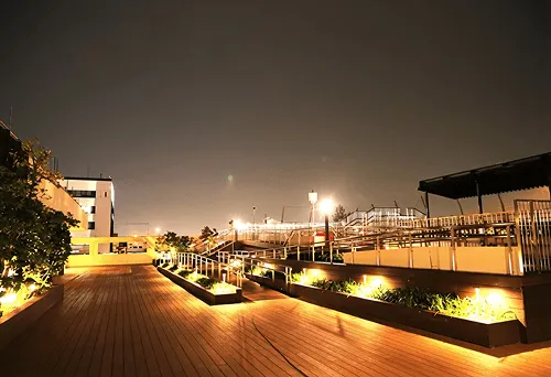 View Deck