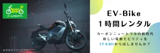 rental-evbike.png